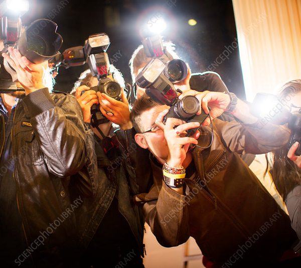 Understanding the Public Interest in Private Individuals Connected to Celebrity Culture