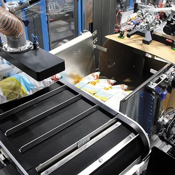 Inside the Rotary System That Keeps Snack Packaging Lines Moving